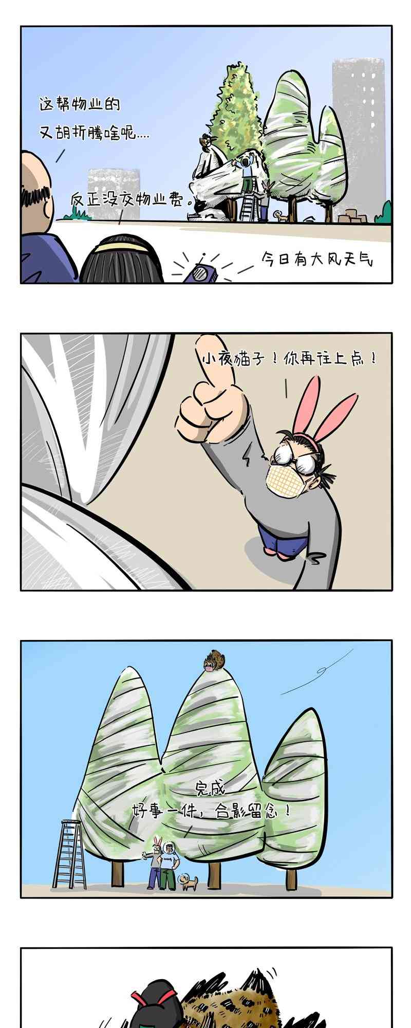 10.jpg