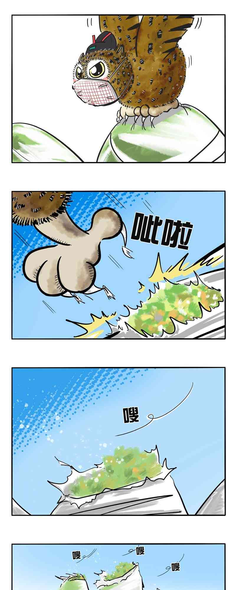12.jpg