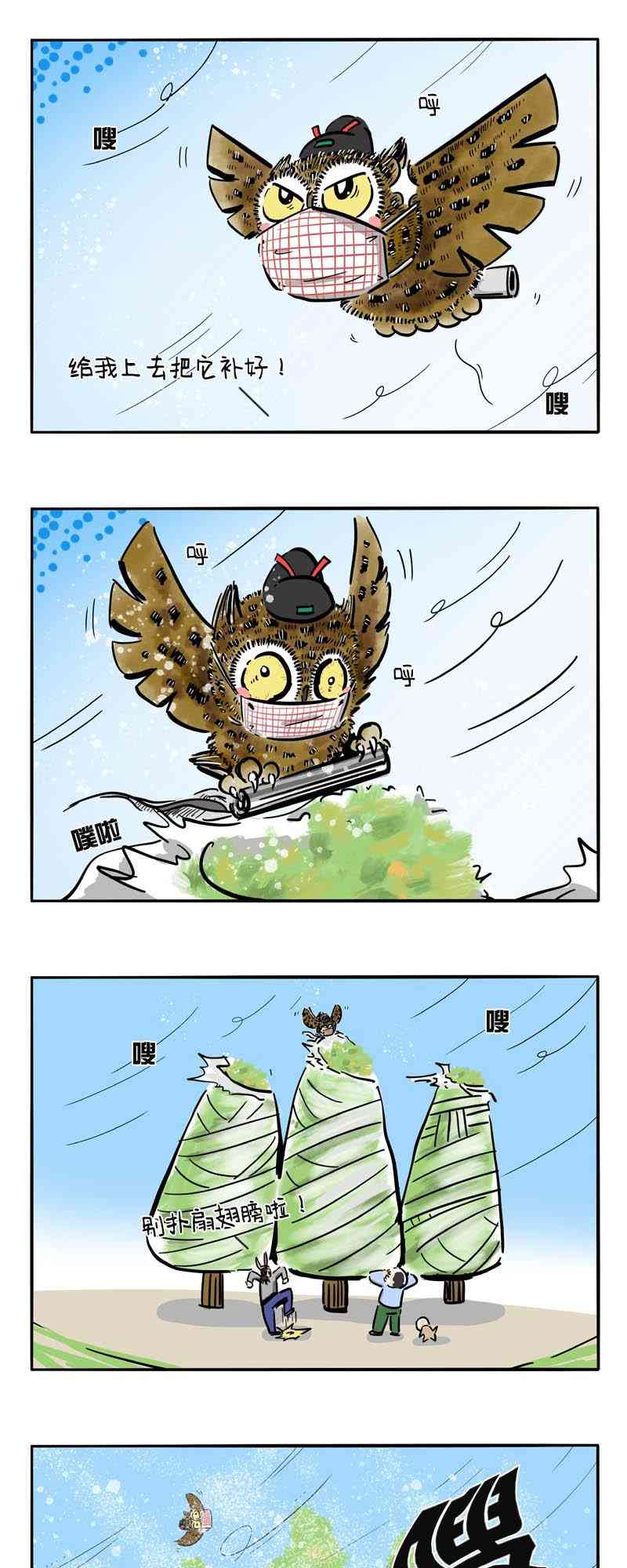14.jpg