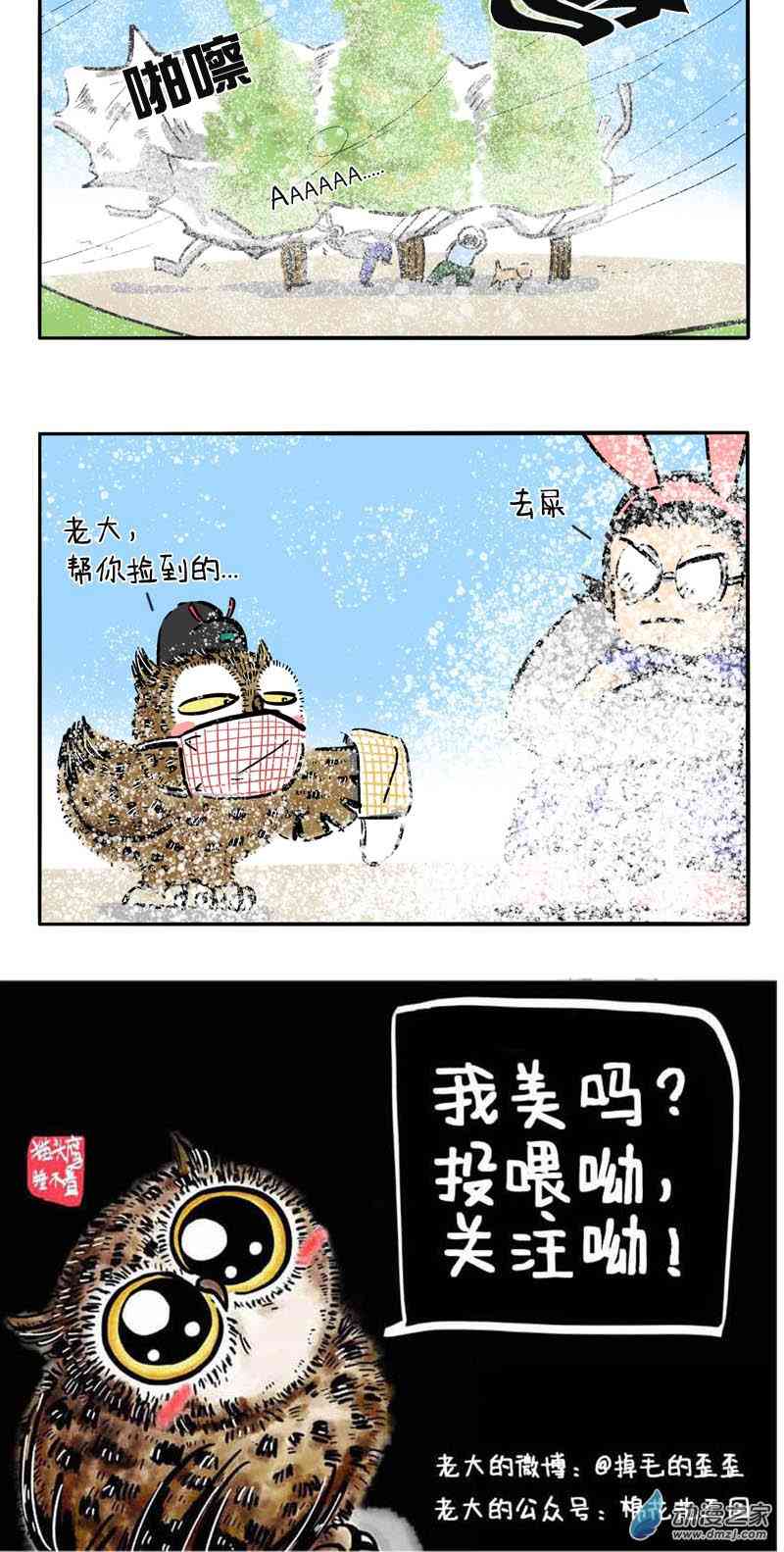 15.jpg