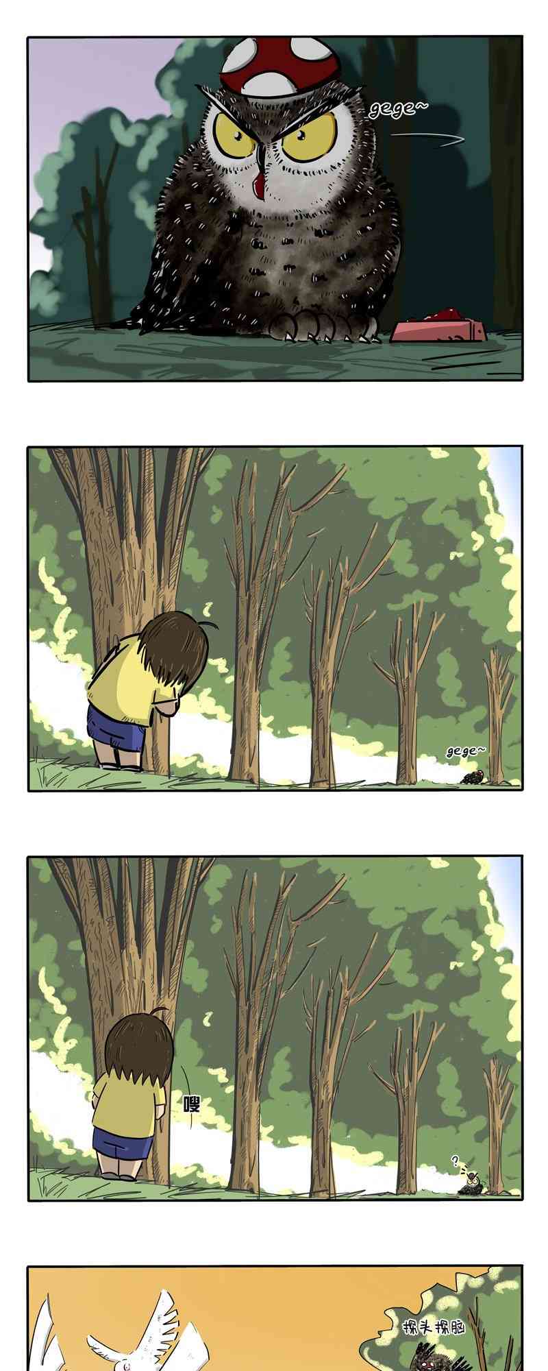 8.jpg