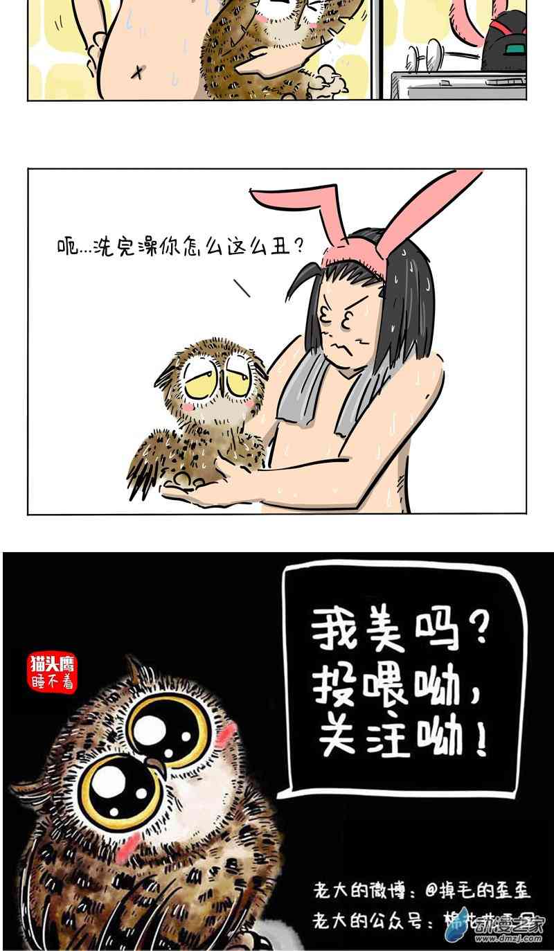 13.jpg