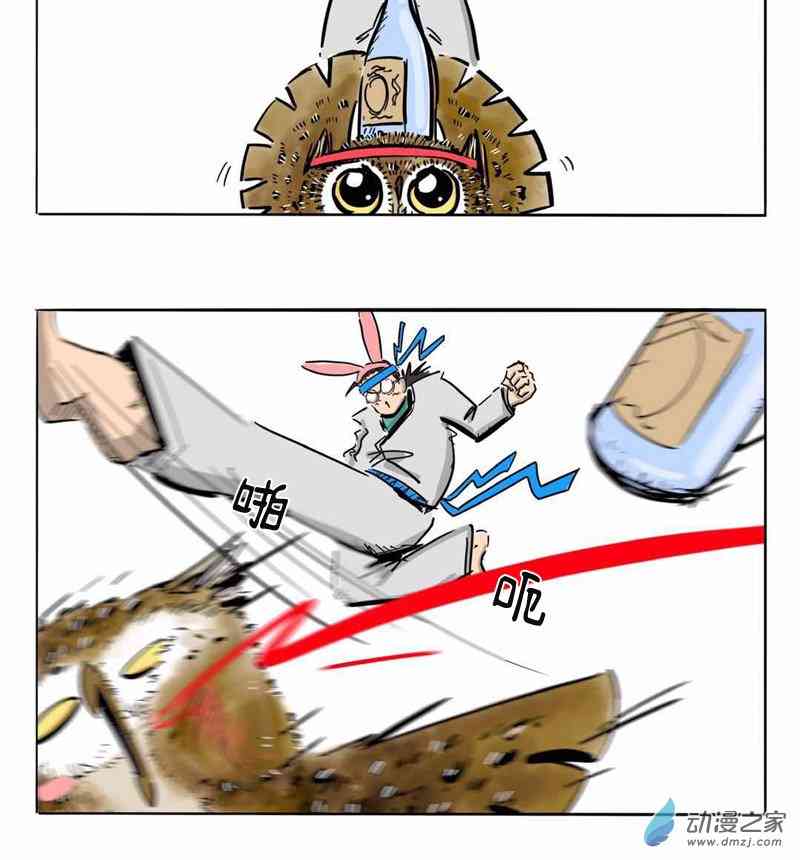 12.jpg