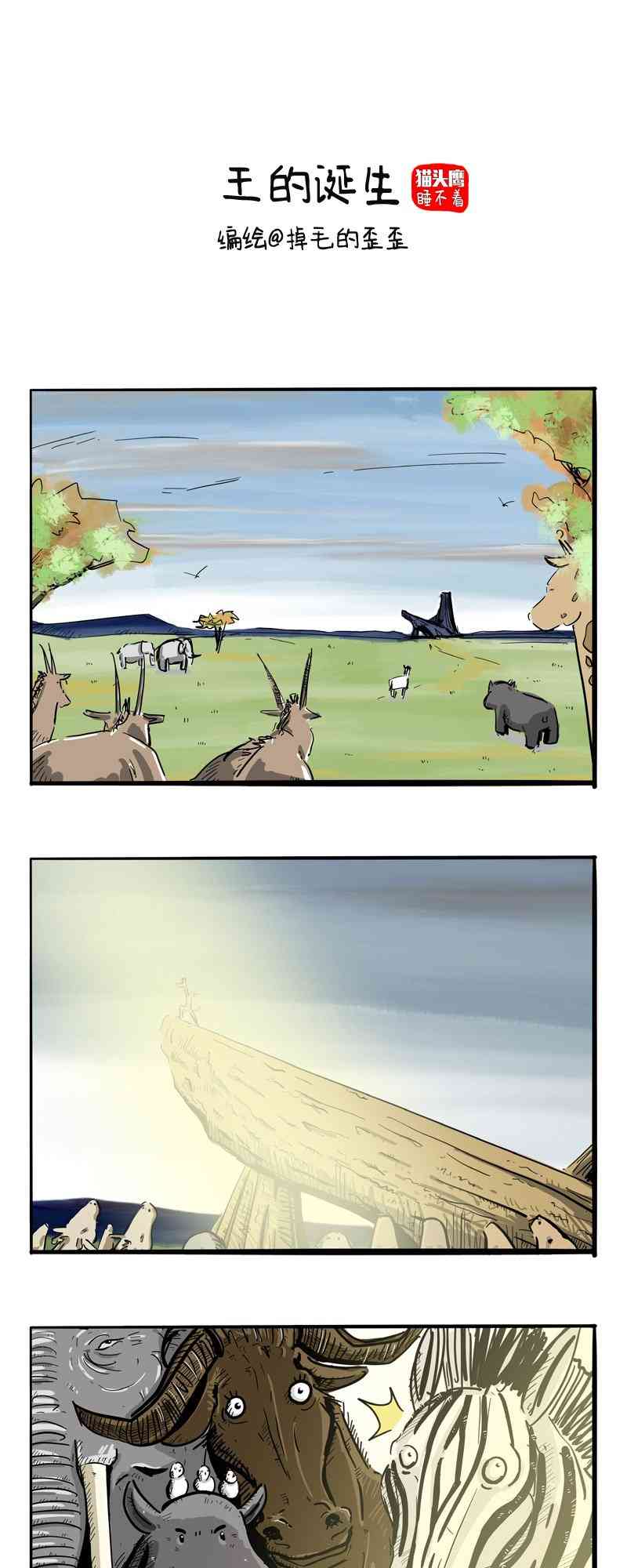 13.jpg