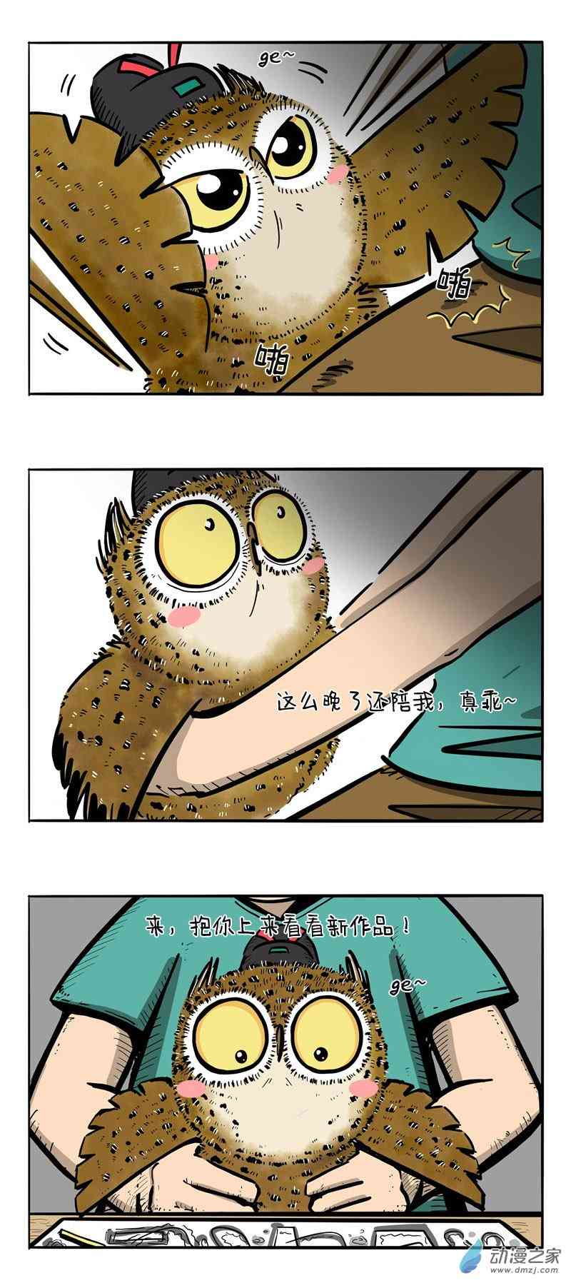 6.jpg