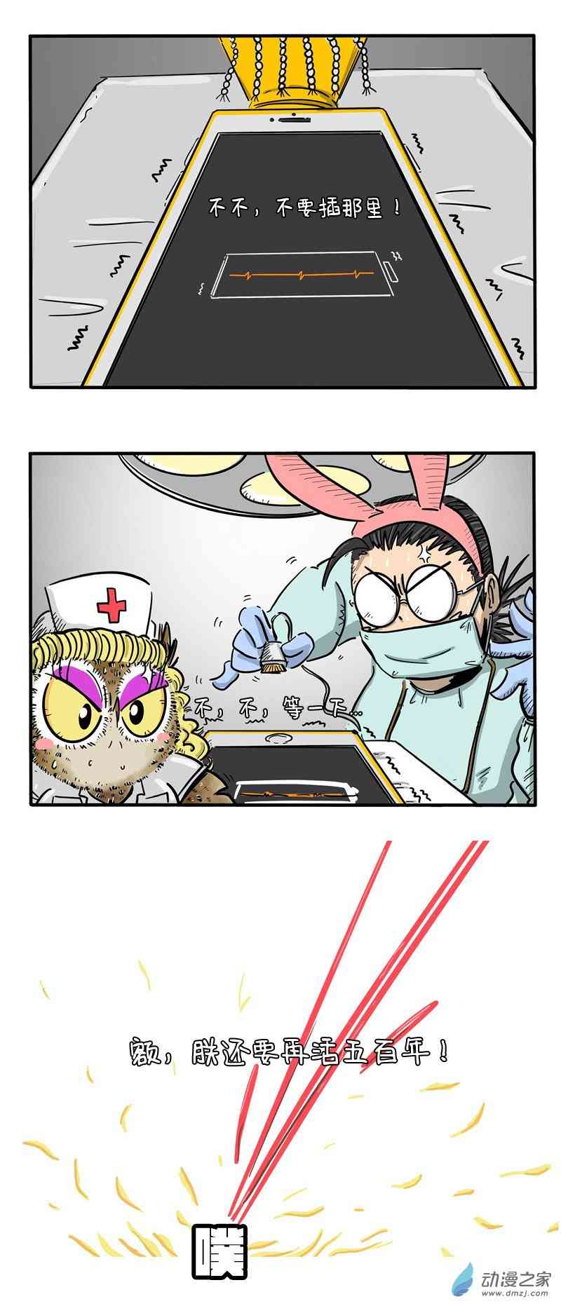 12.jpg