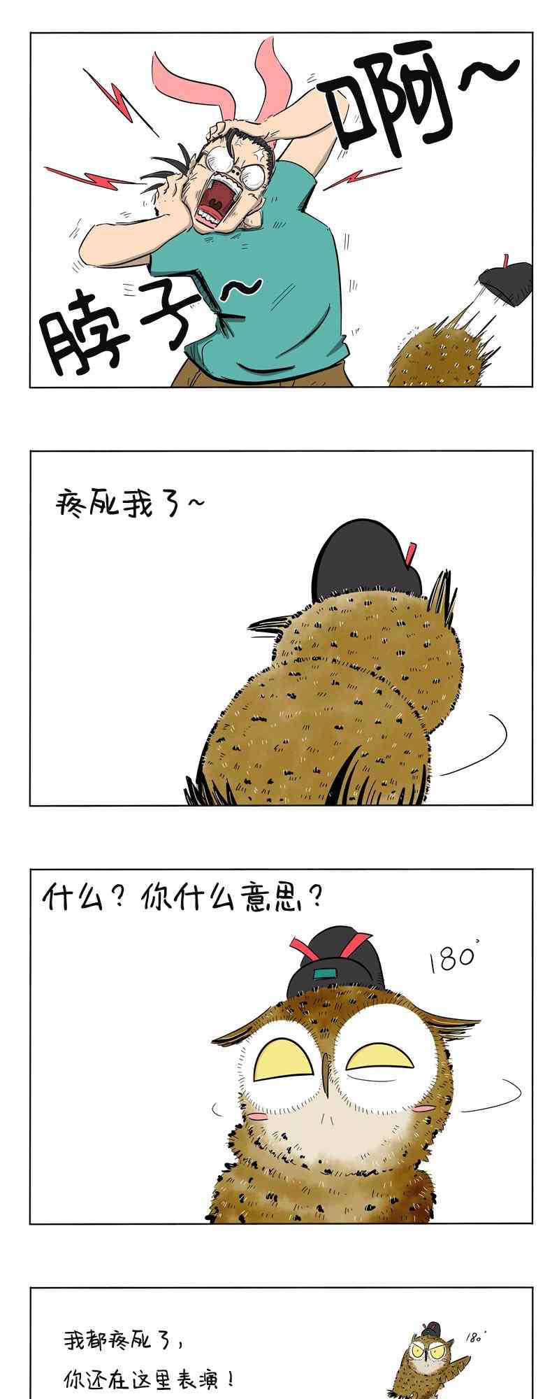 5.jpg