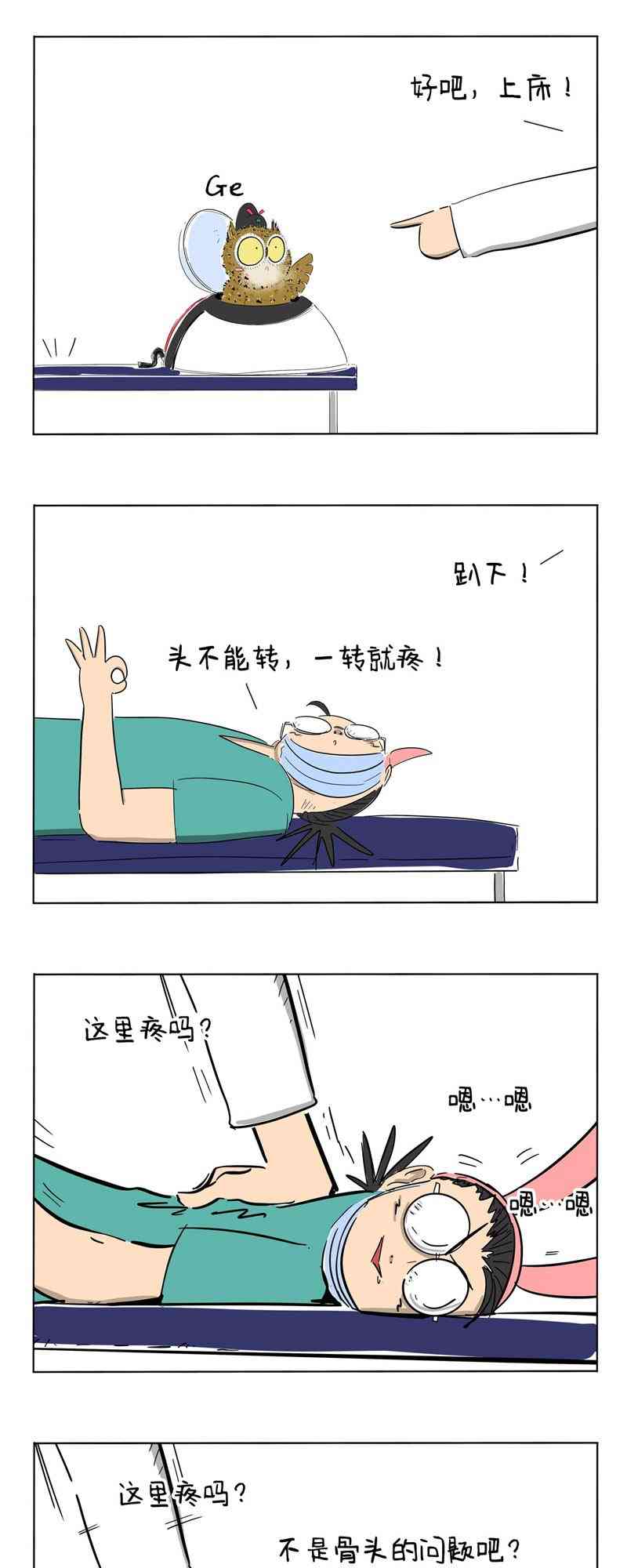 13.jpg