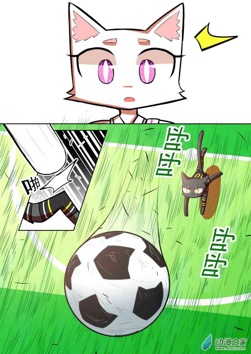 10.jpg