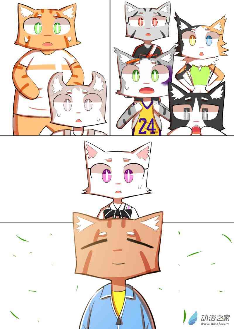 17.jpg