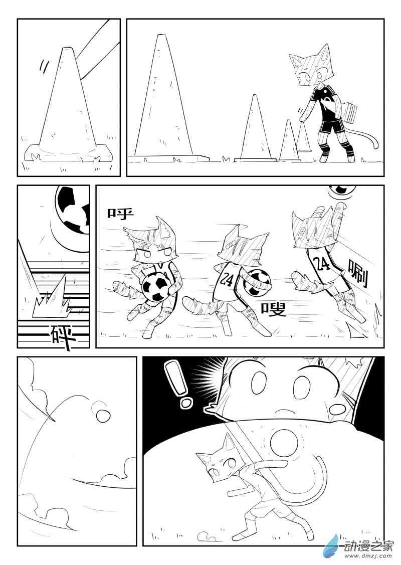 7.jpg