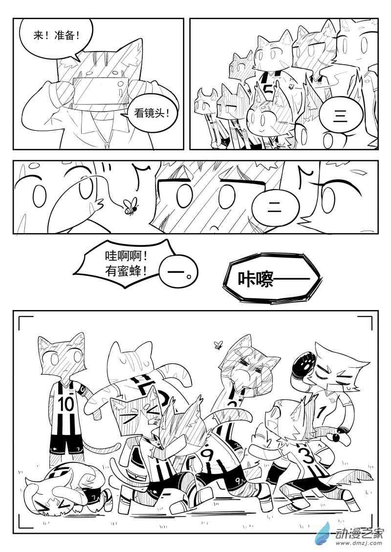 19.jpg
