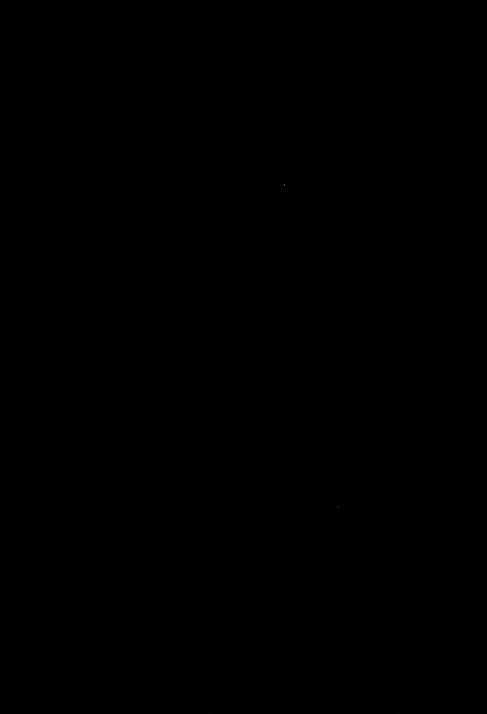 348.jpg