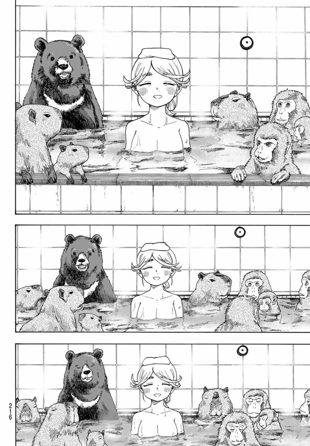 16.jpg