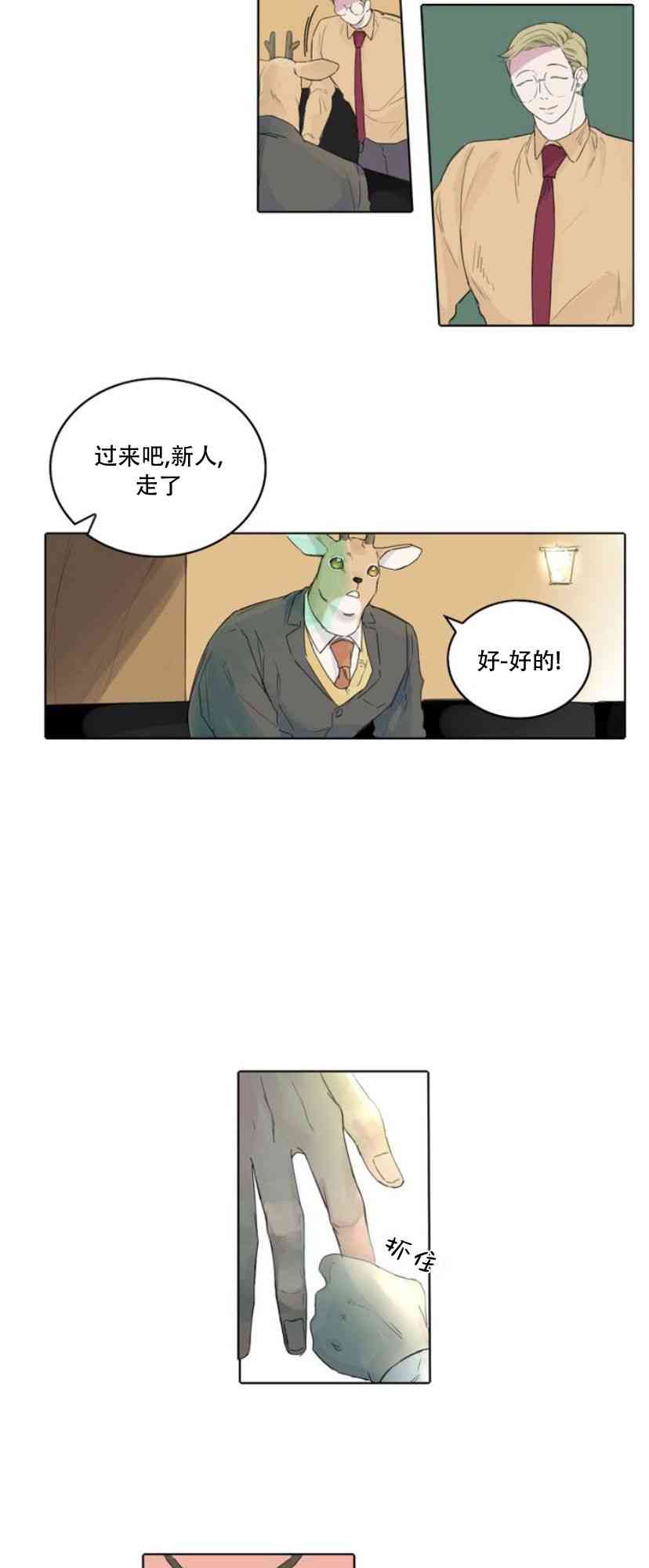 15.jpg