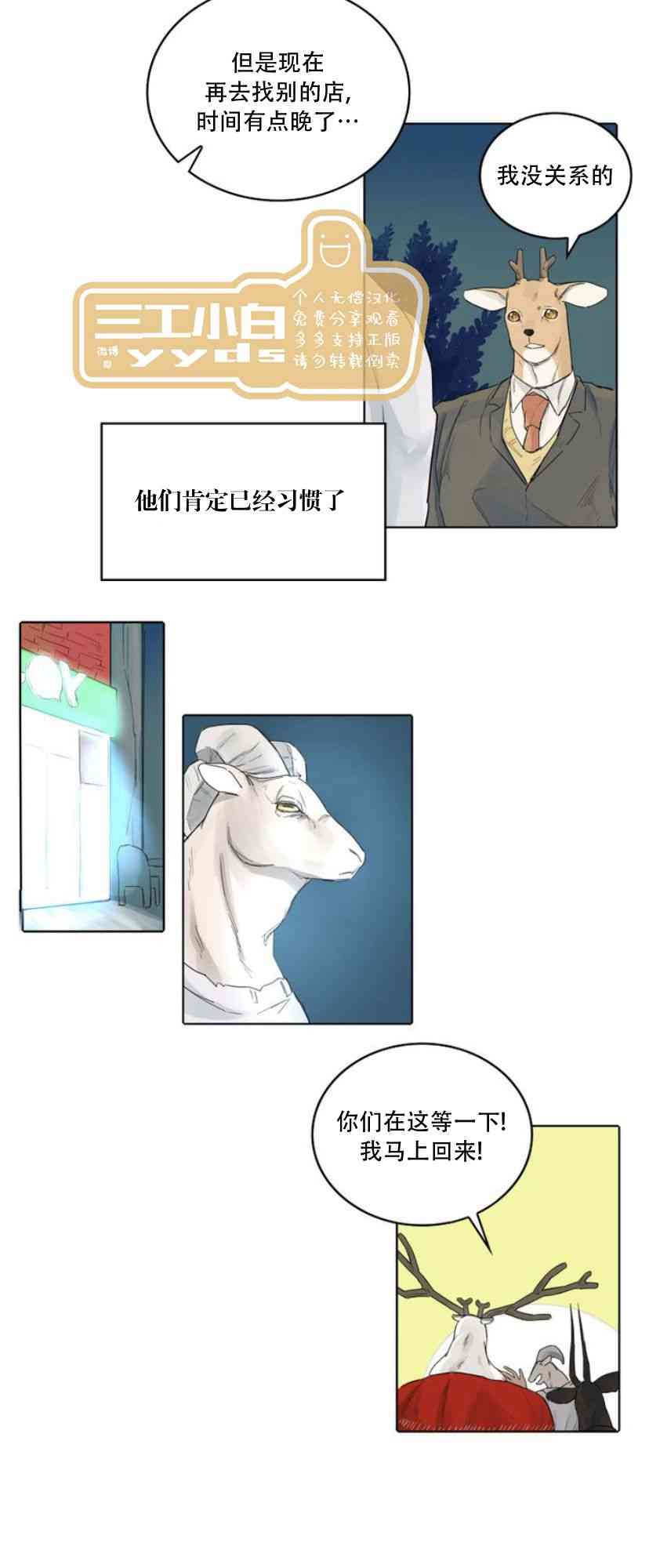 19.jpg