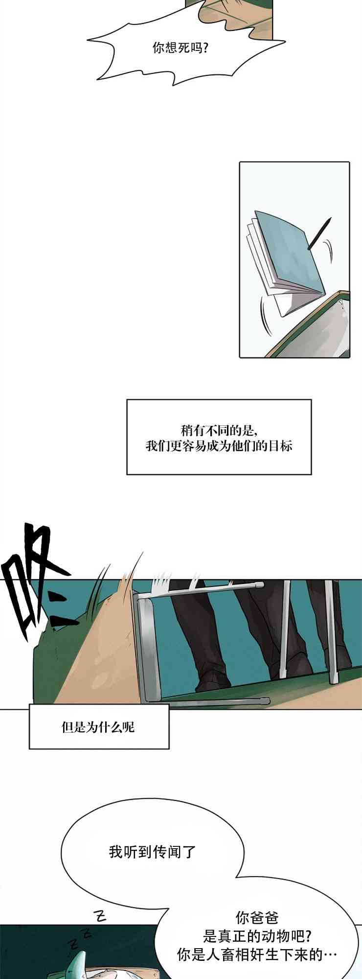 19.jpg