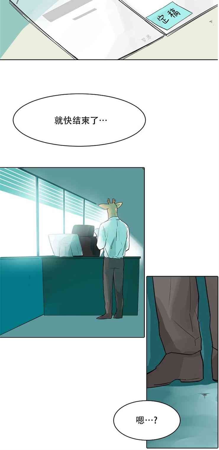 13.jpg