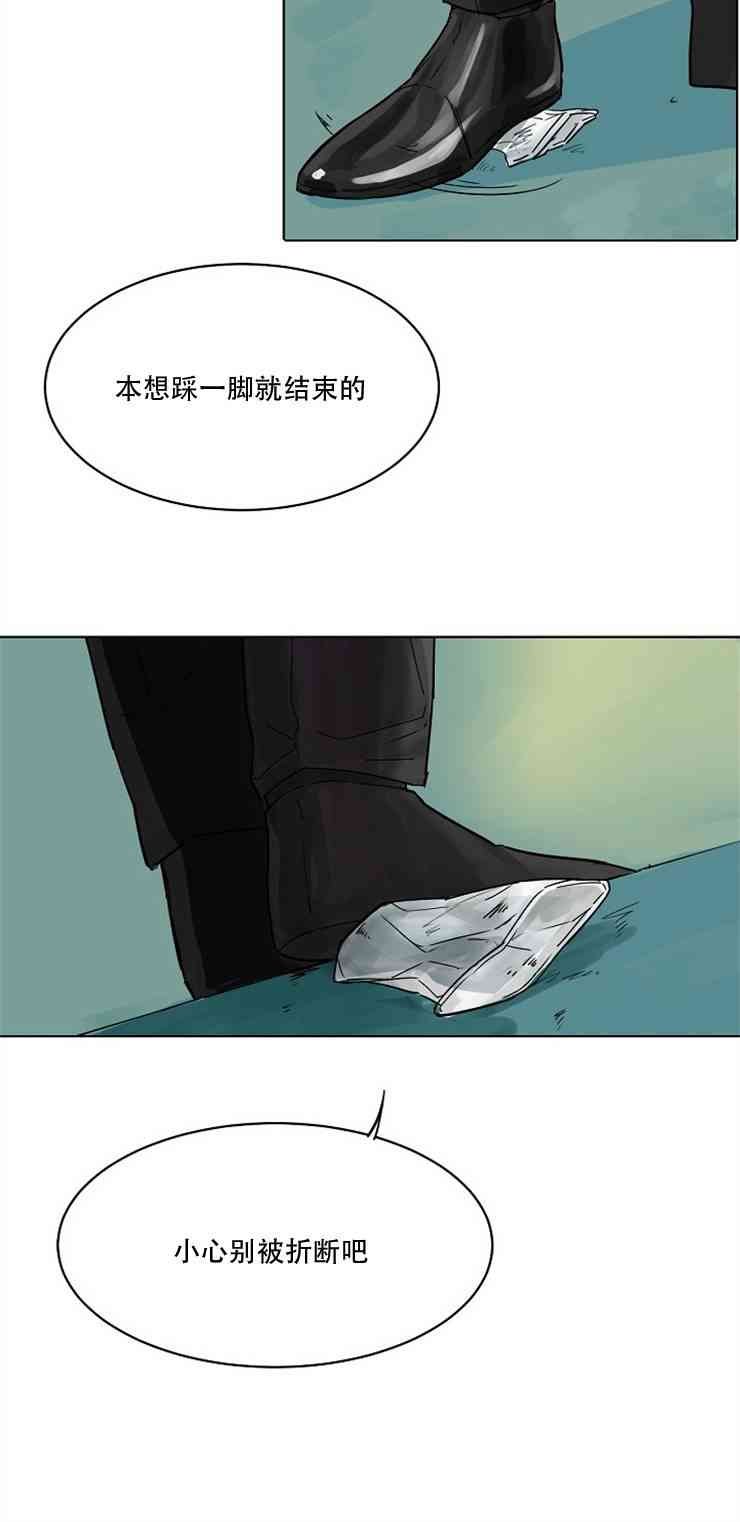 13.jpg