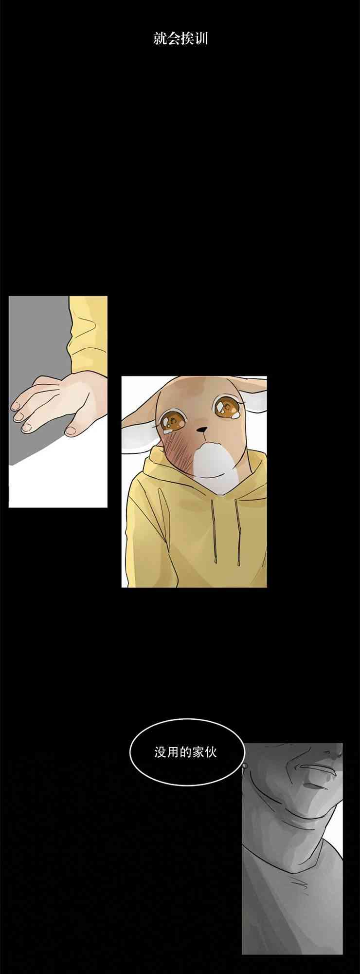 16.jpg