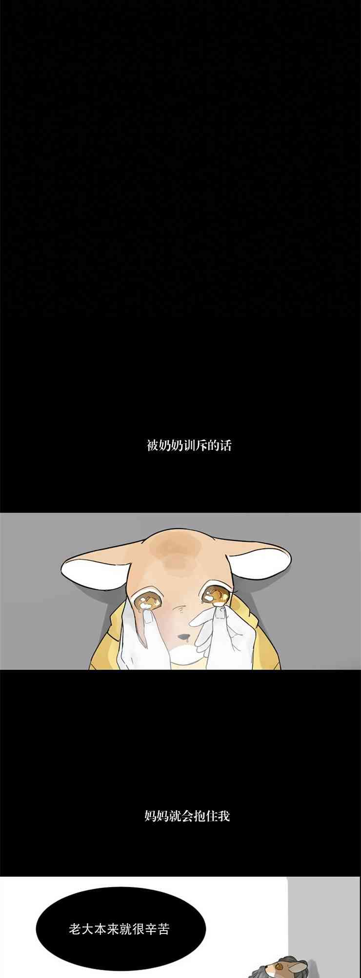 17.jpg