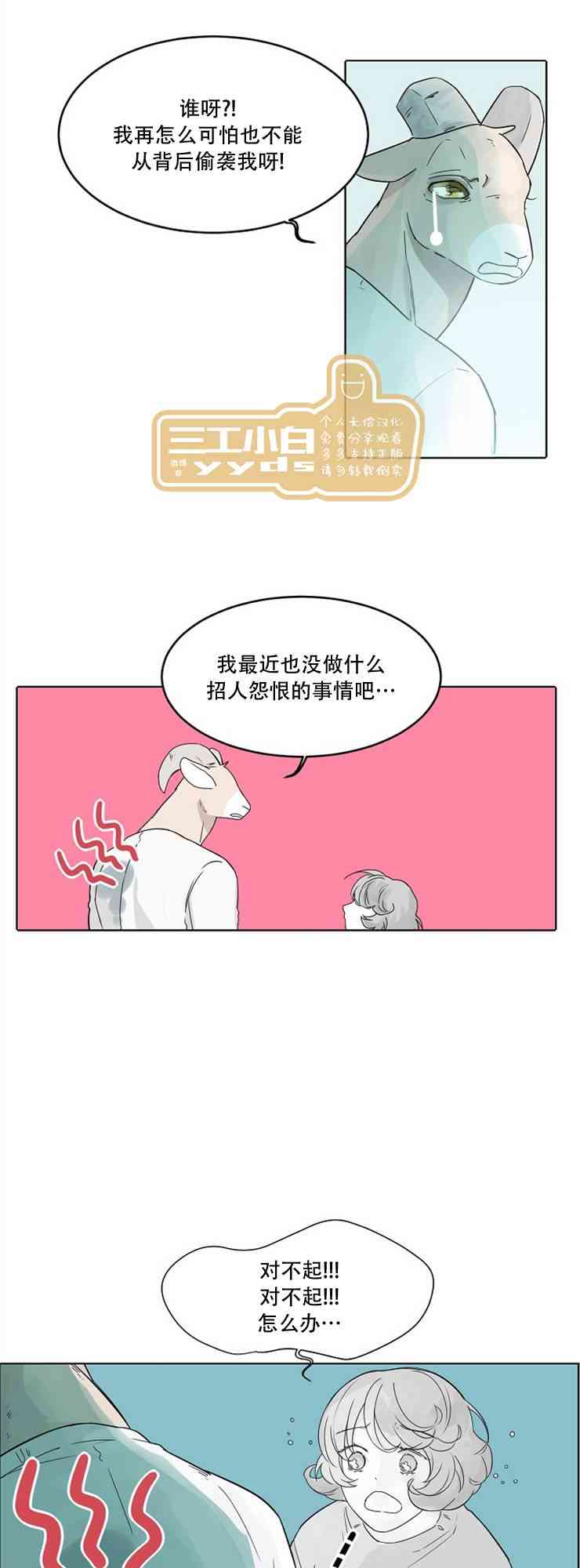 17.jpg