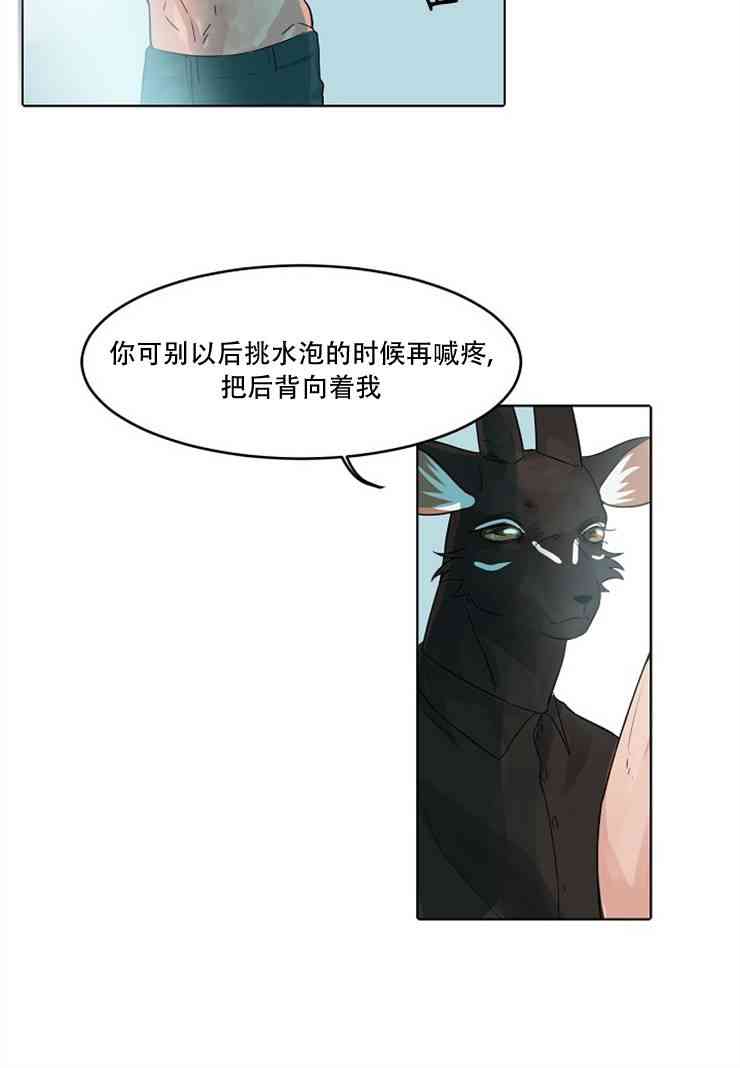 20.jpg