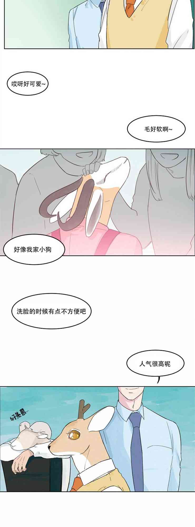 17.jpg