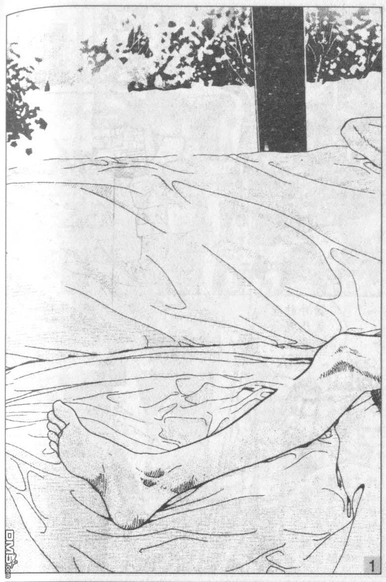 258.jpg