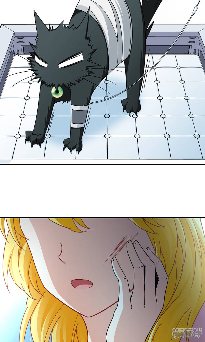 31.jpg