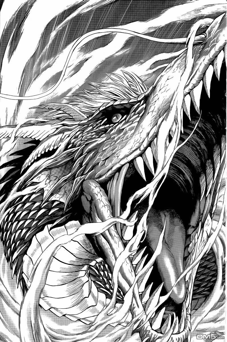 368.jpg