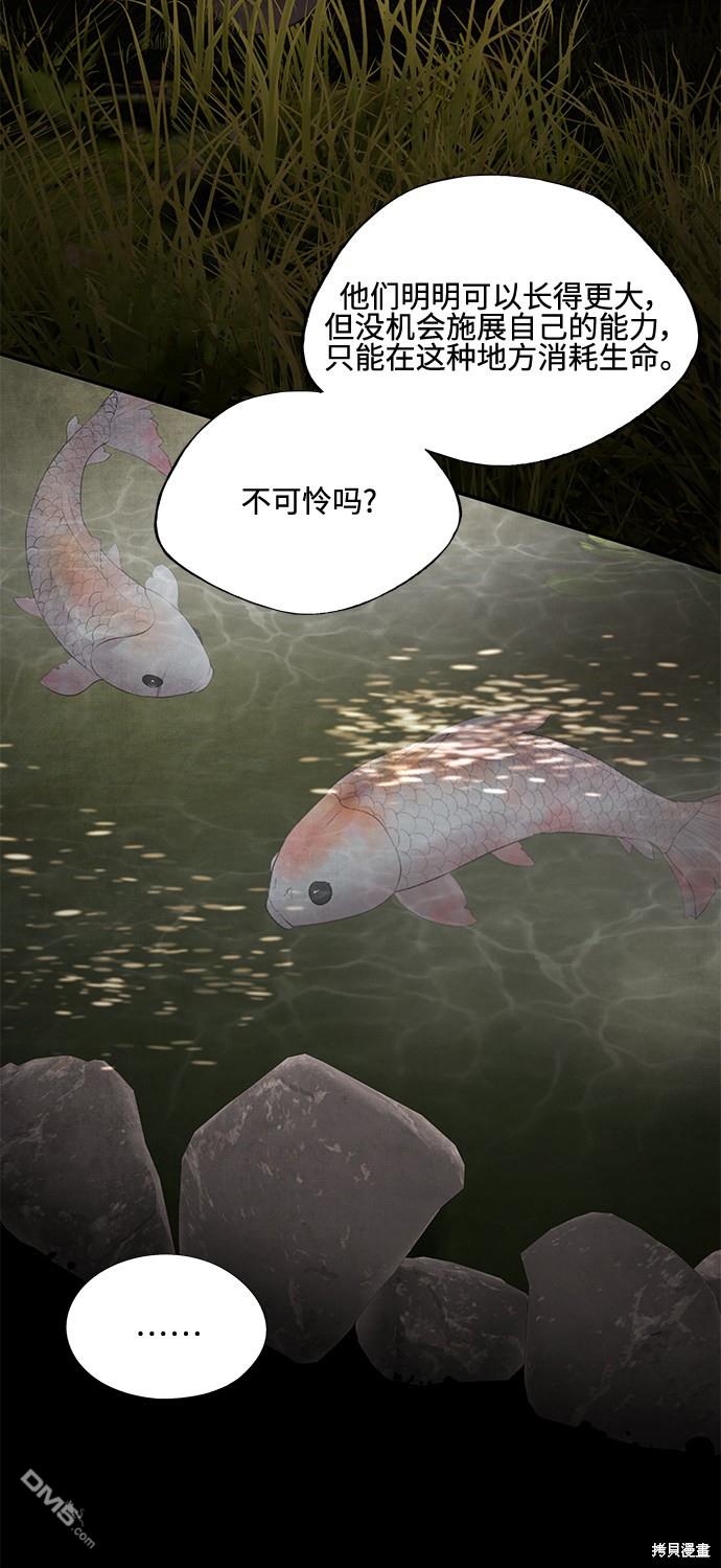 56.jpg