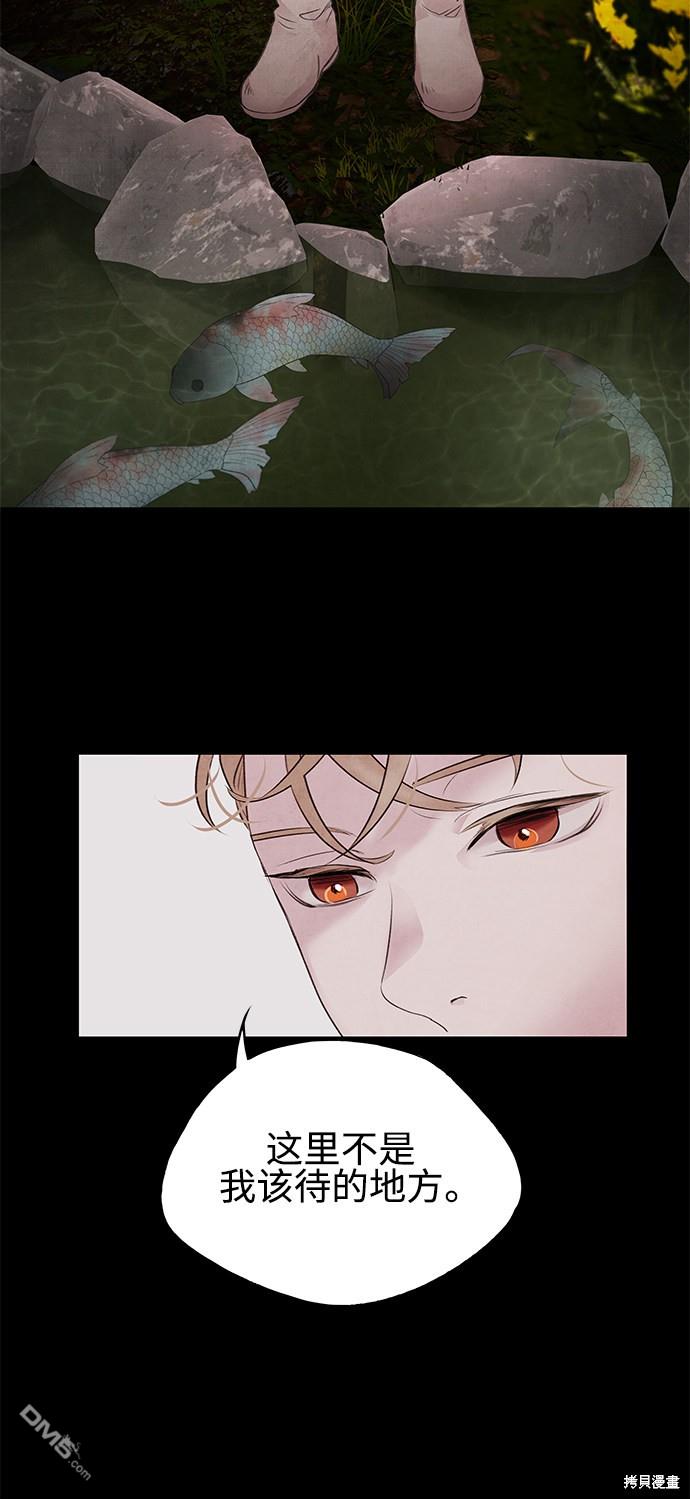 62.jpg