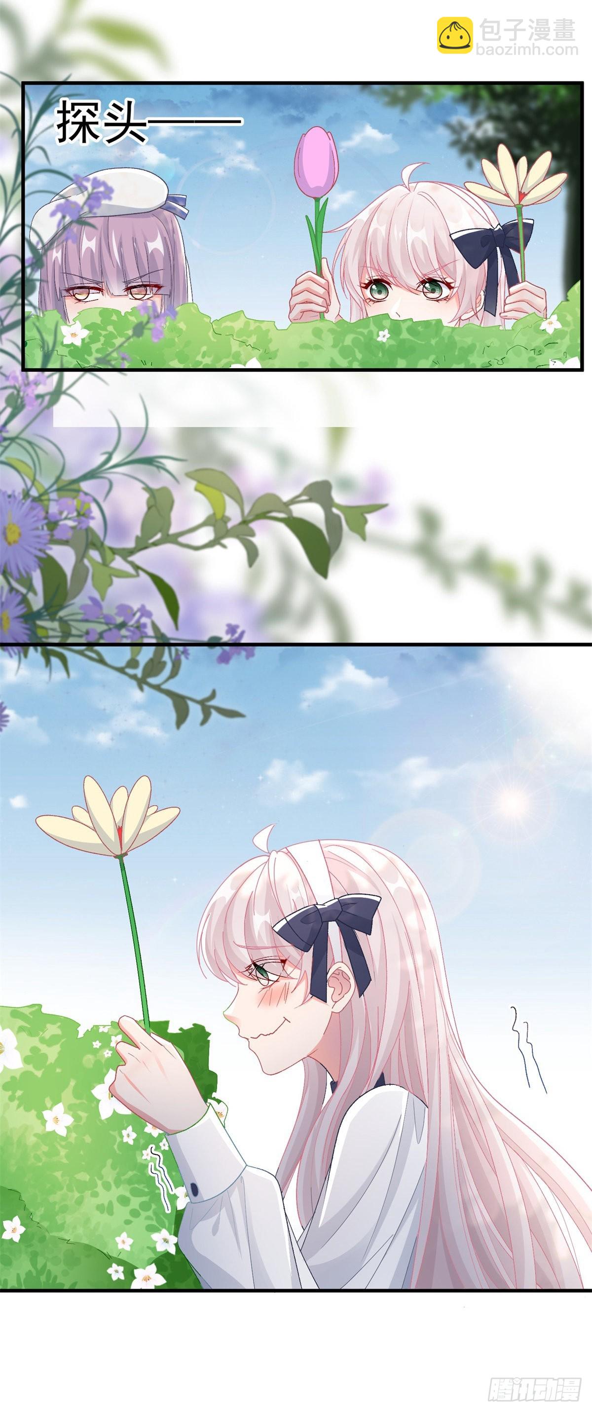 11.jpg