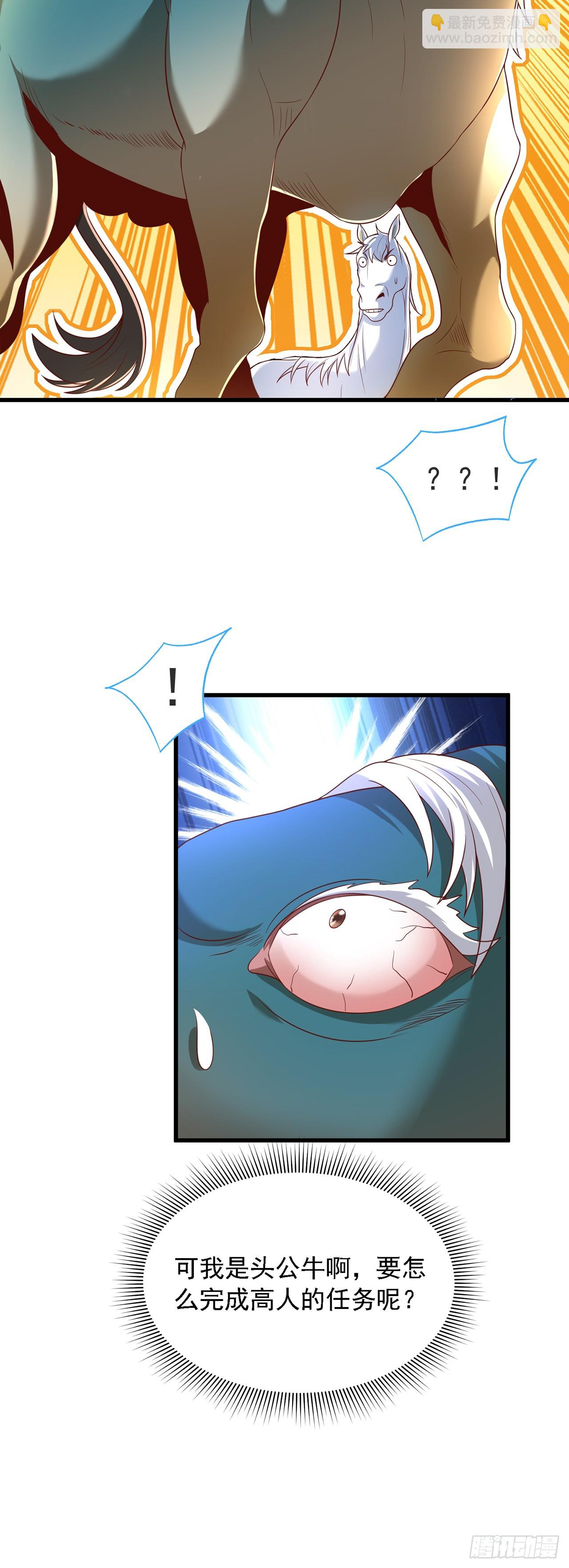 78.jpg