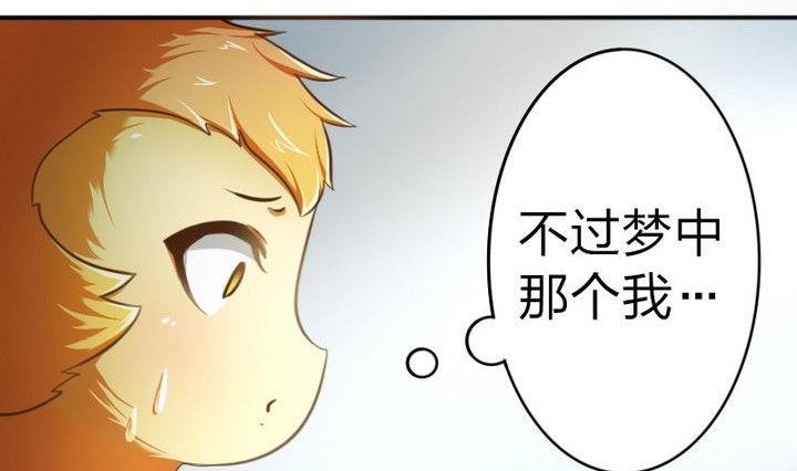 43.jpg