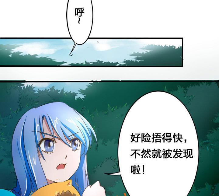 19.jpg