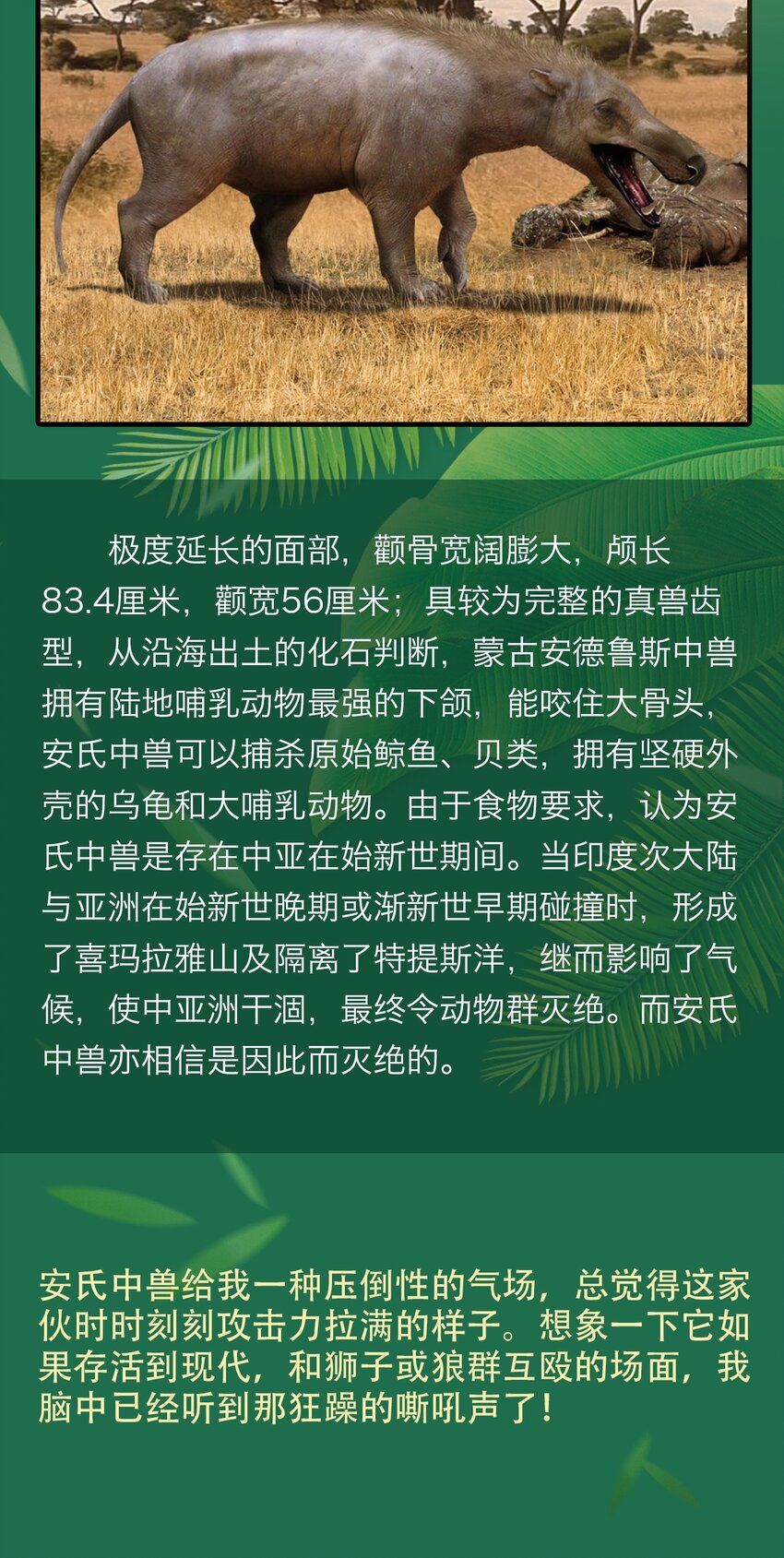 14.jpg