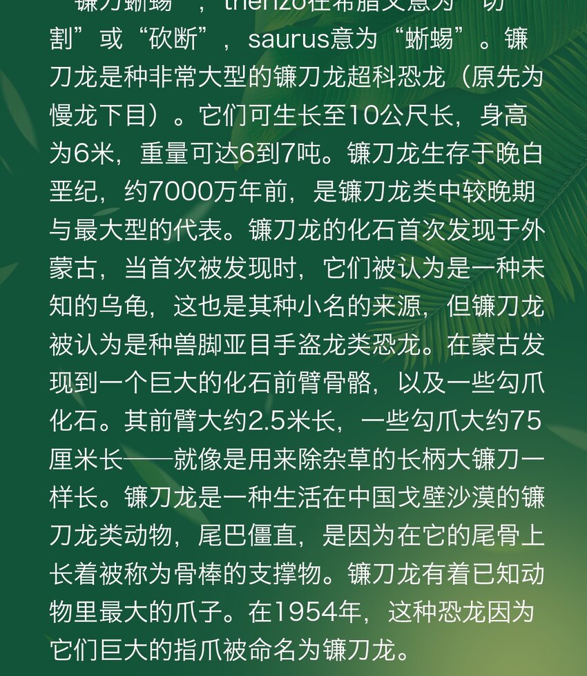 25.jpg