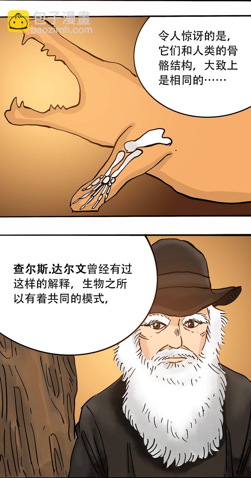 21.jpg