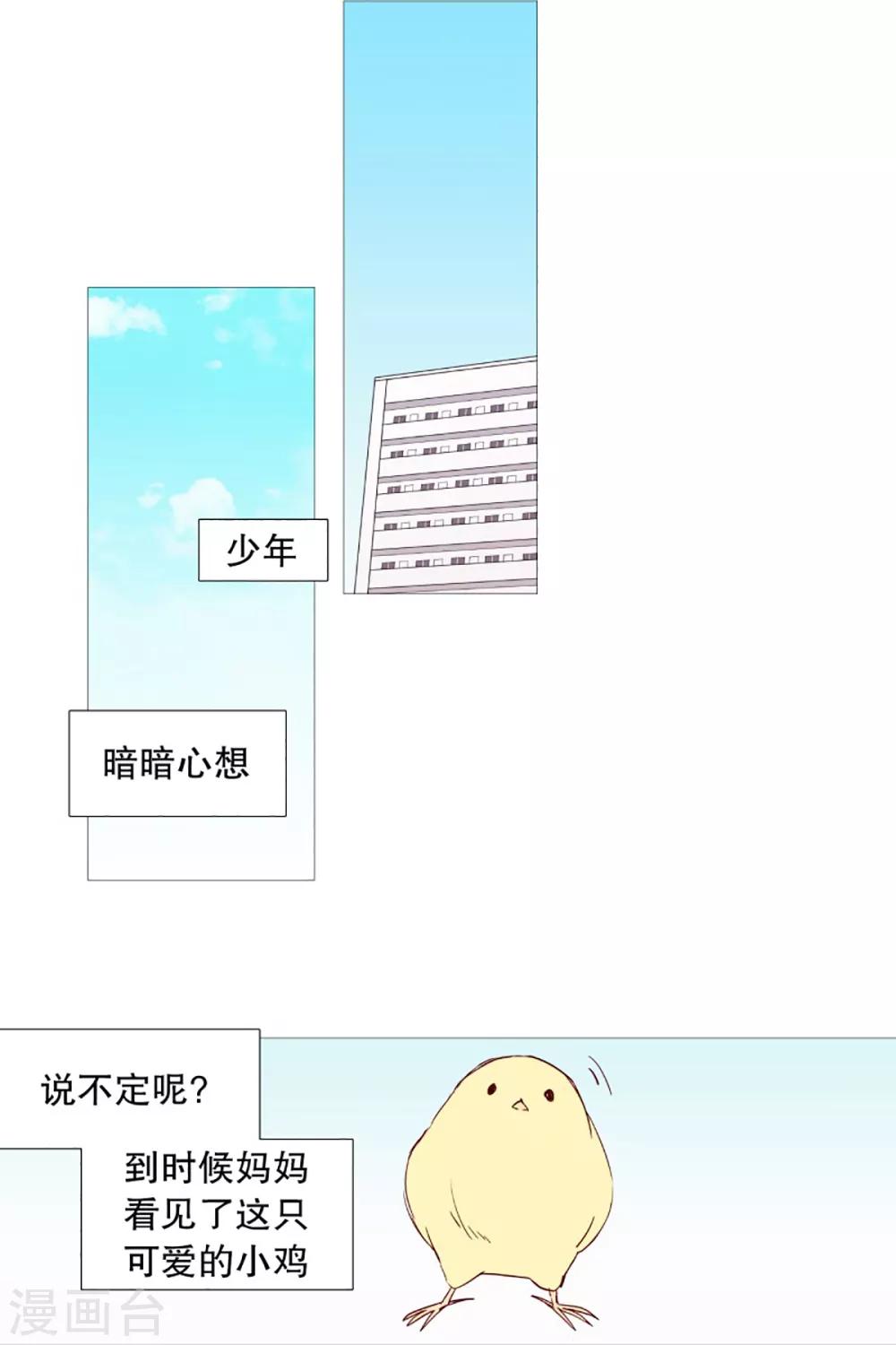 16.jpg