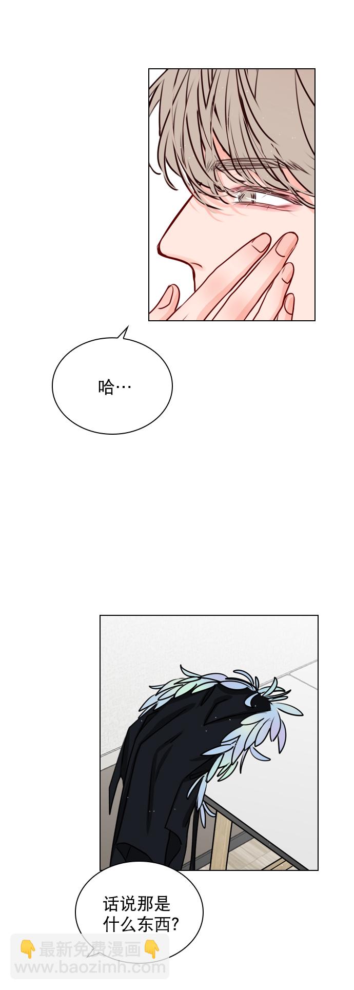 41.jpg