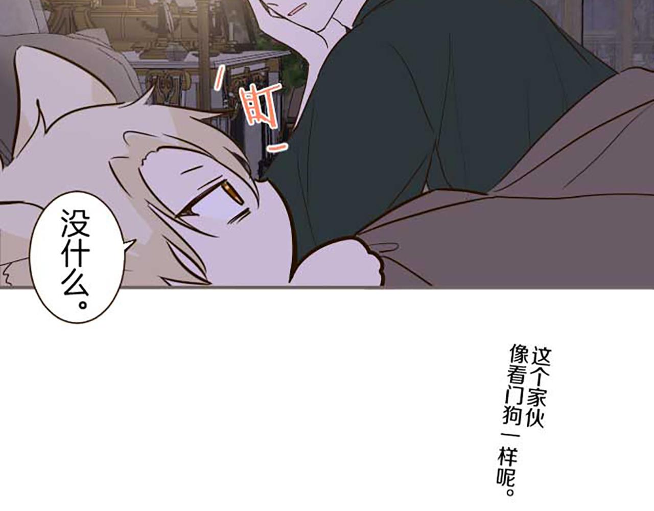 49.jpg