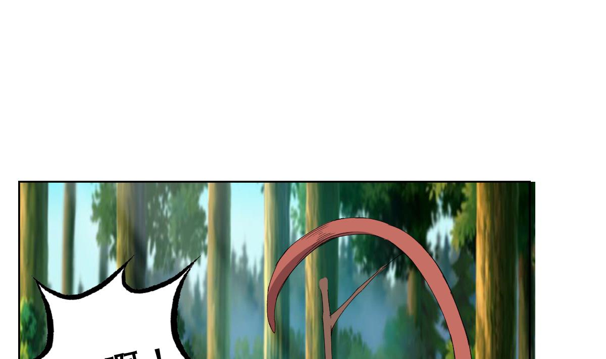 31.jpg