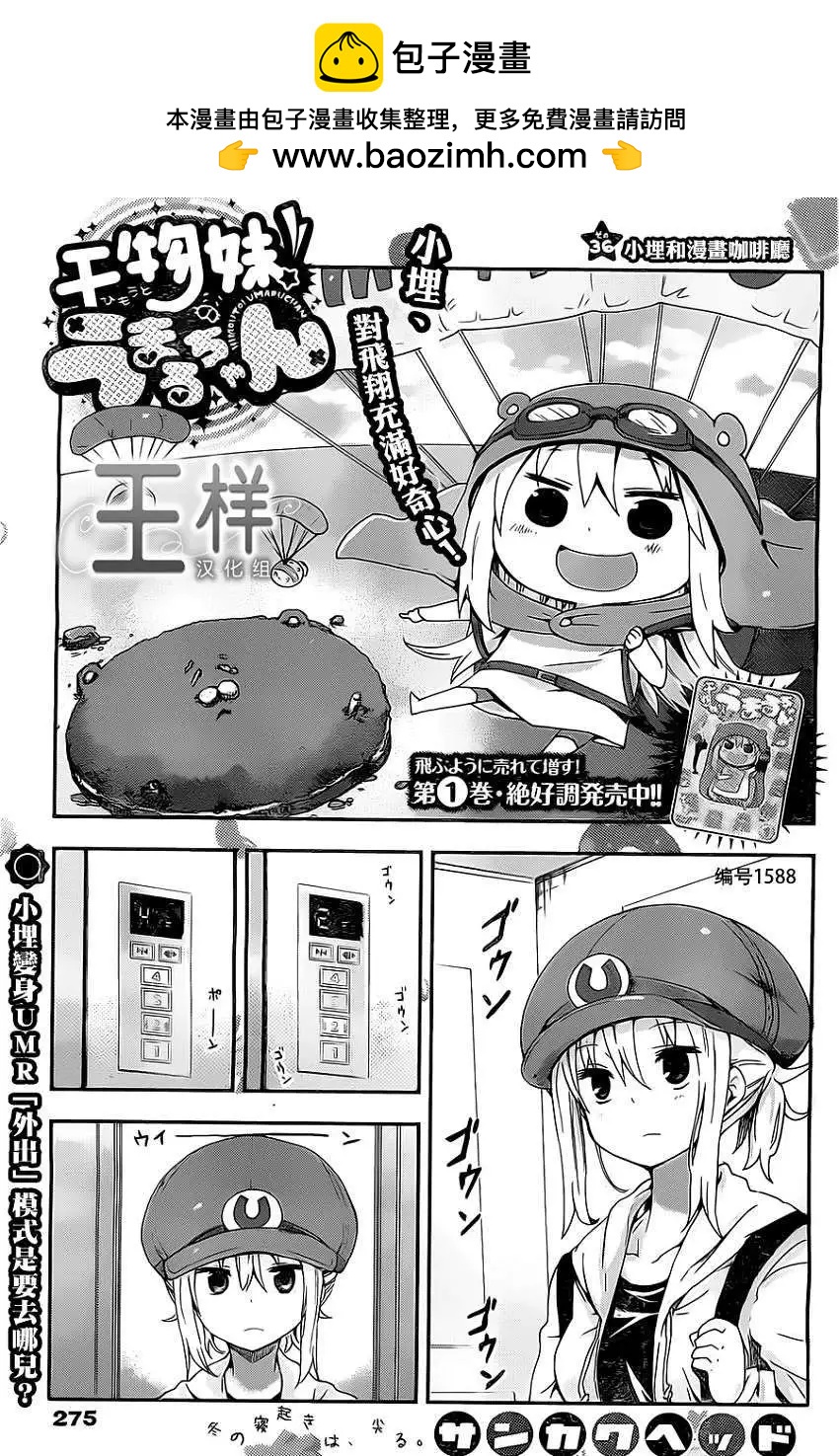 2.jpg