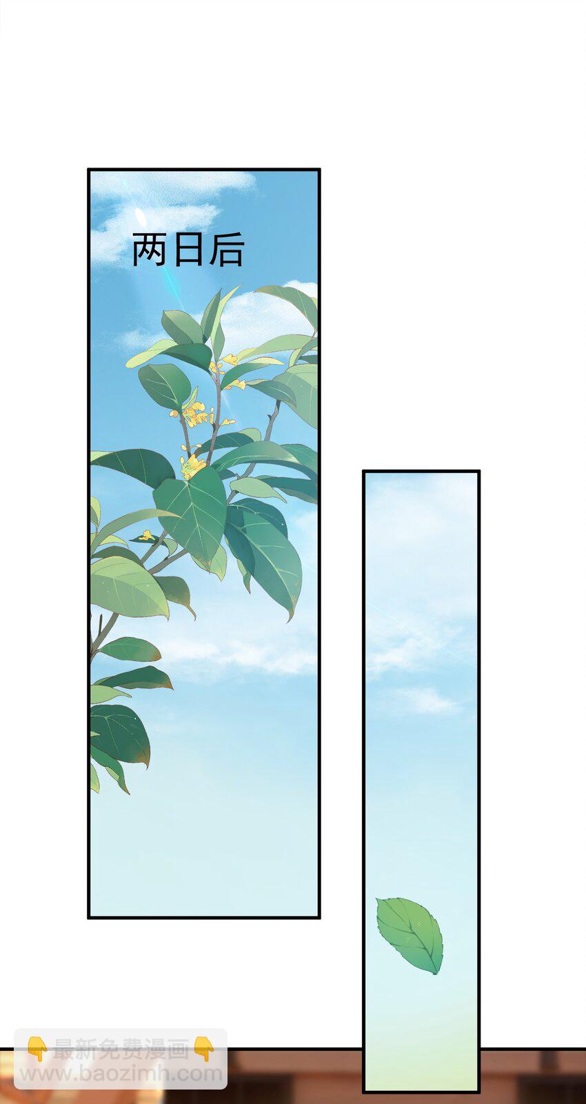 35.jpg