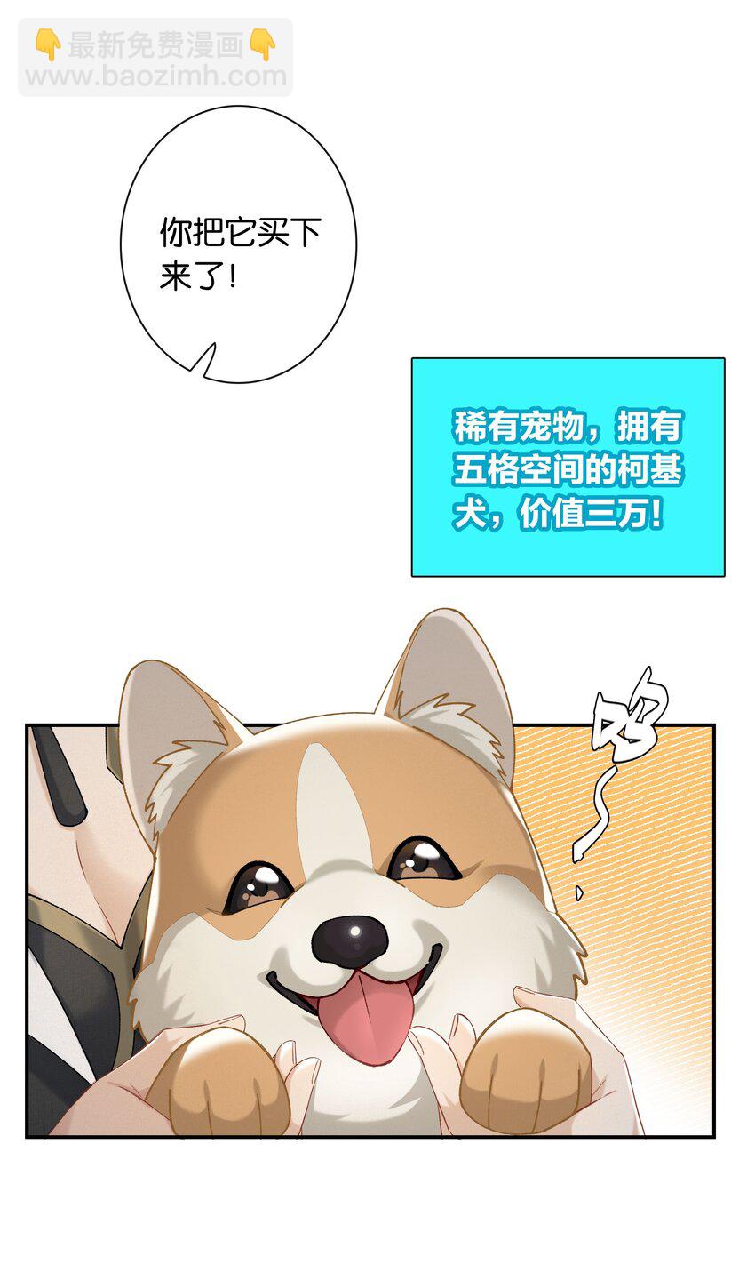 11.jpg