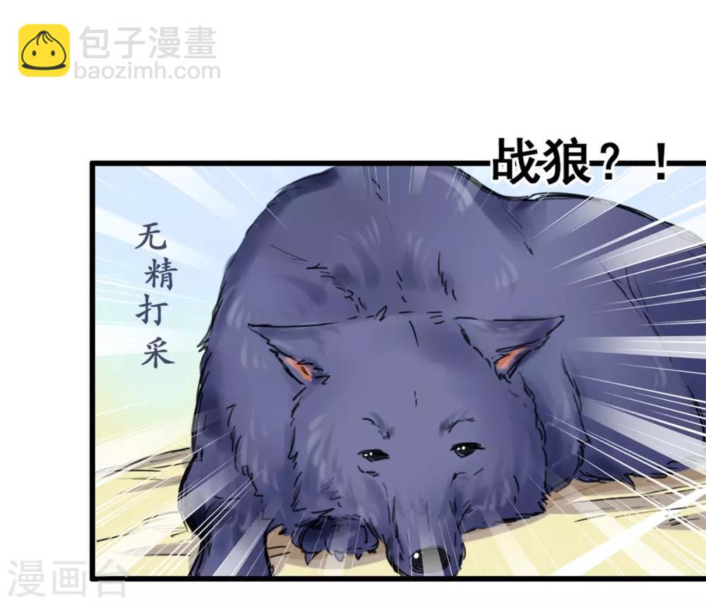 15.jpg