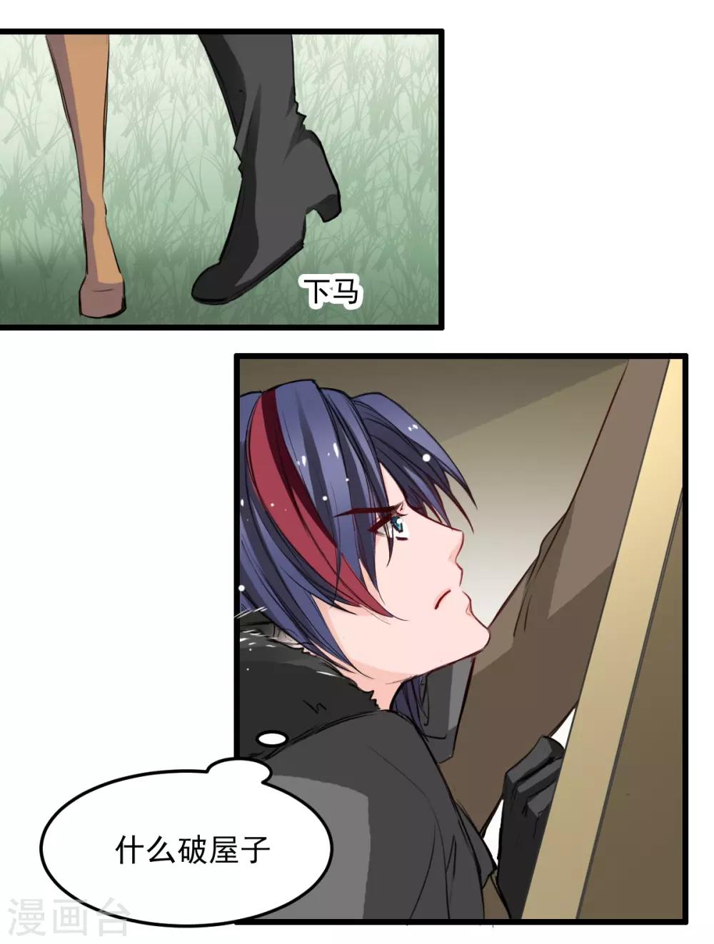 17.jpg