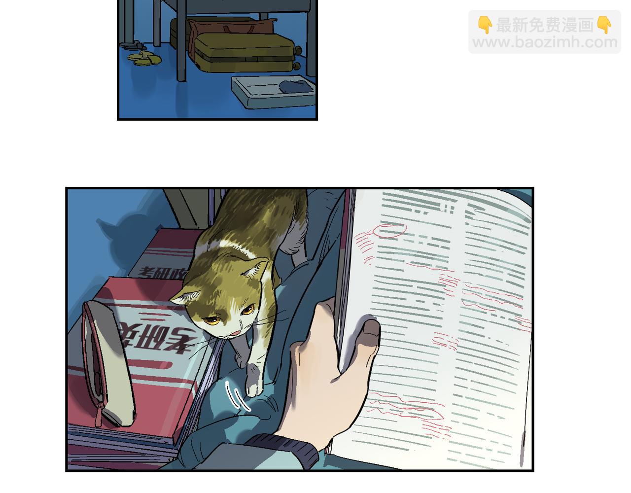 46.jpg